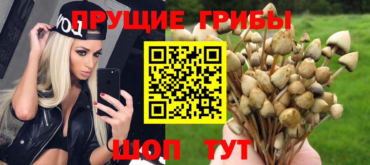 Жигулёвск  Псилоцибиновые грибы MAGIC MUSHROOMS  Вход с VPN 